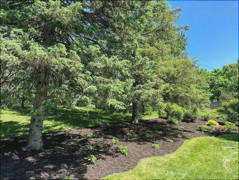 Rock & Mulch project by Cortez Landscaping